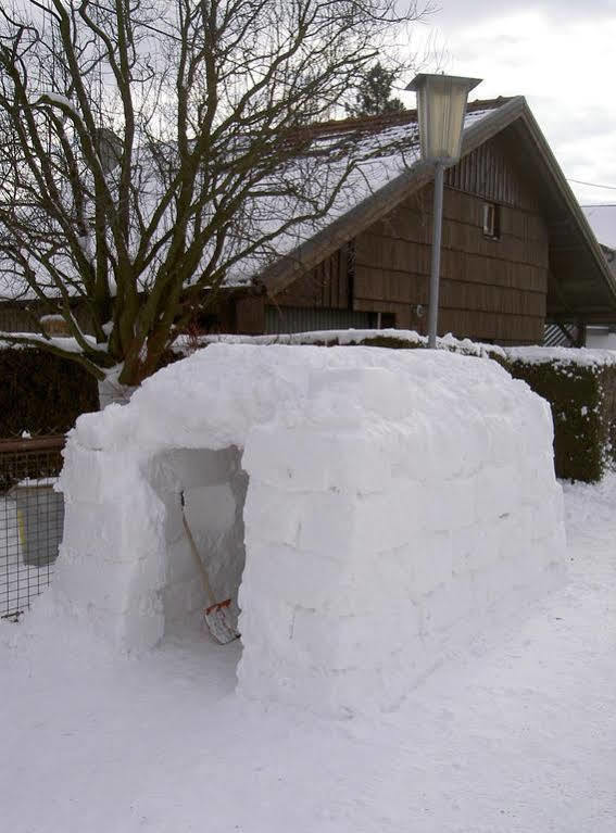 Chalet Troadkasten By Interhome Neuhofen im Innkreis Eksteriør billede